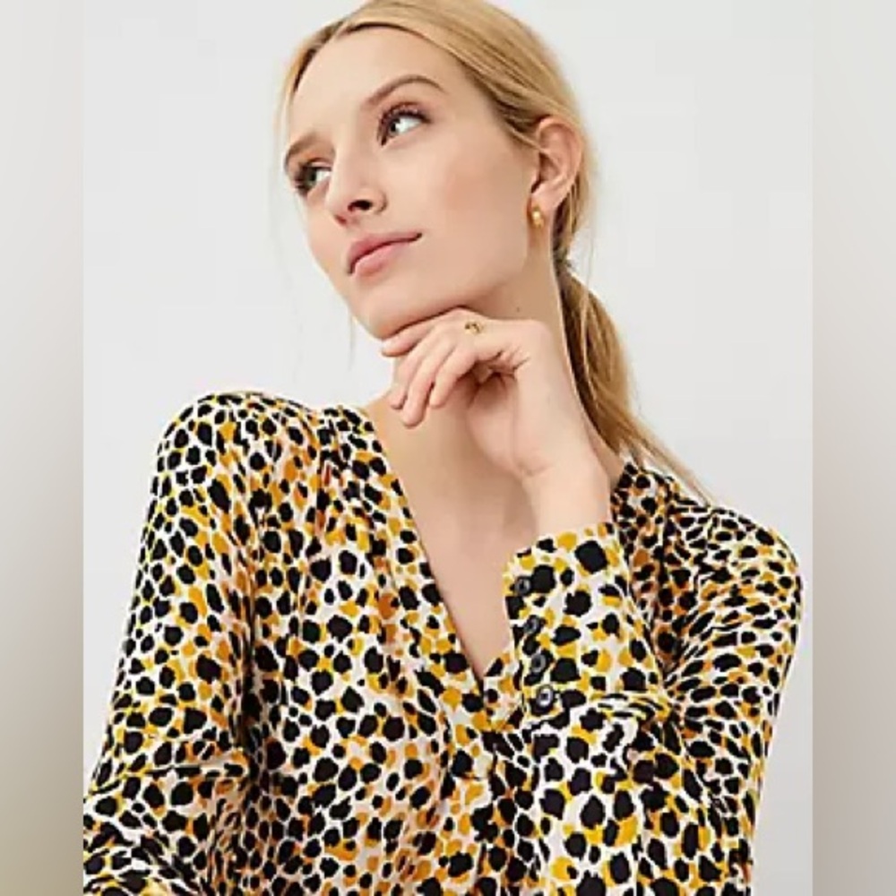 Ann Taylor Tan and Brown Long Sleeve Blouse with Notched Collar